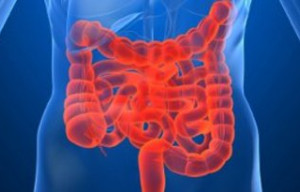 IBS and Complementary Health Practices